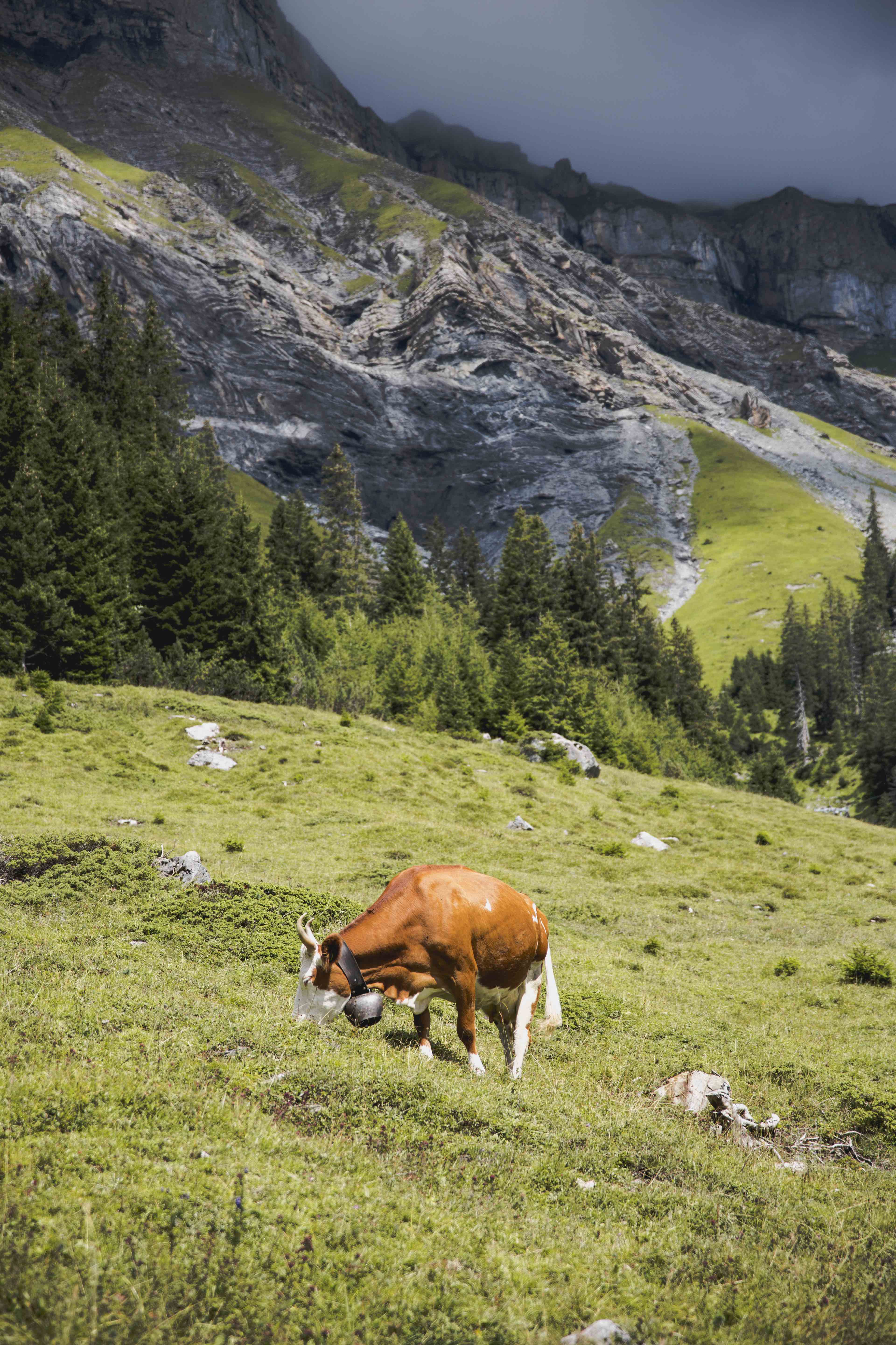 Switzerland