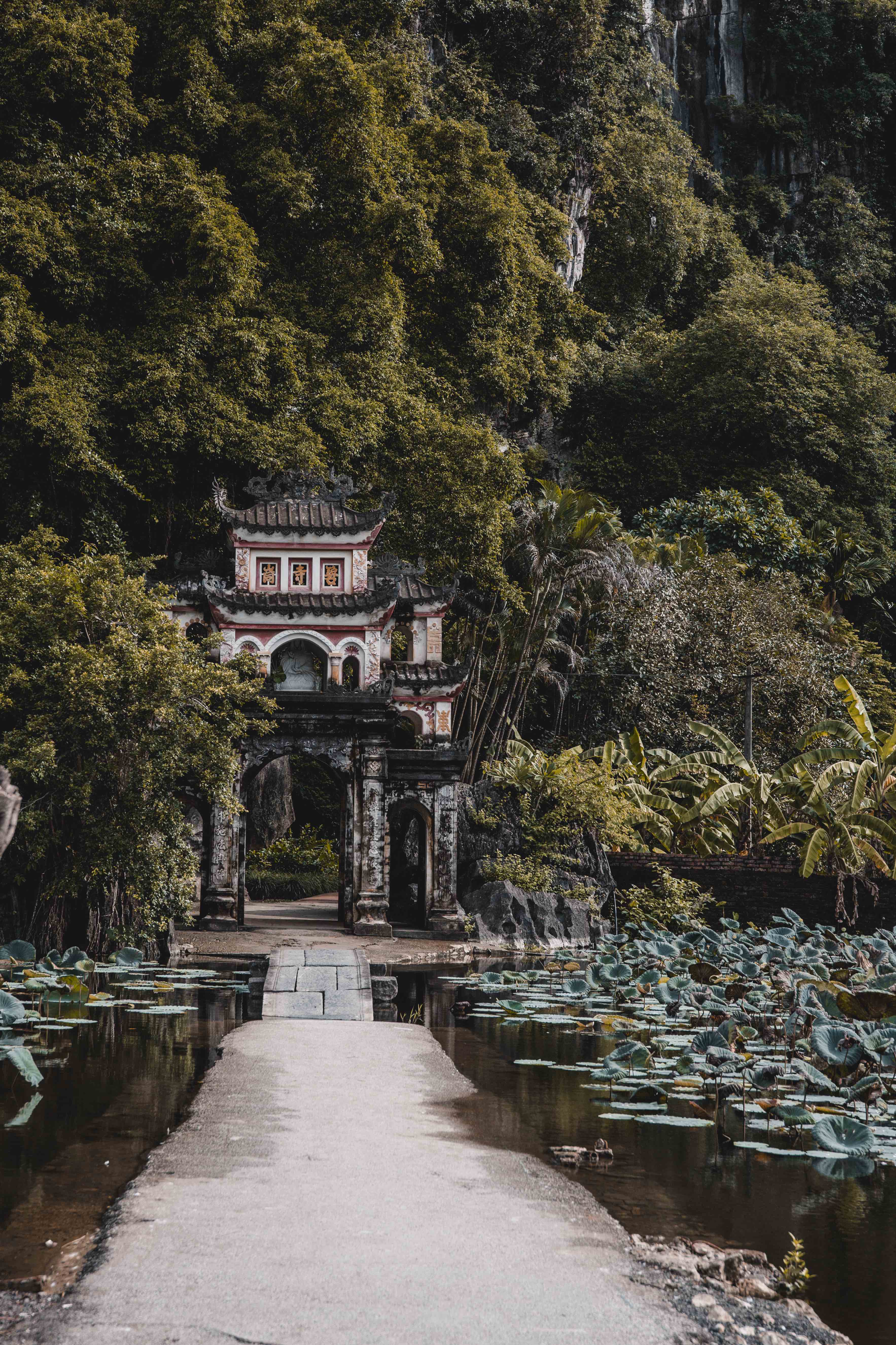 Bali & Vietnam