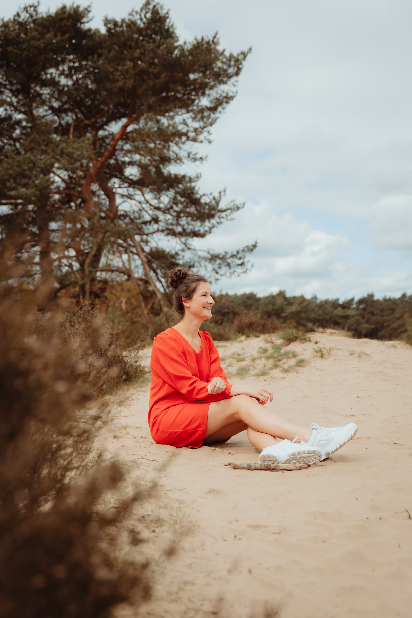 Kalmthoutse heide