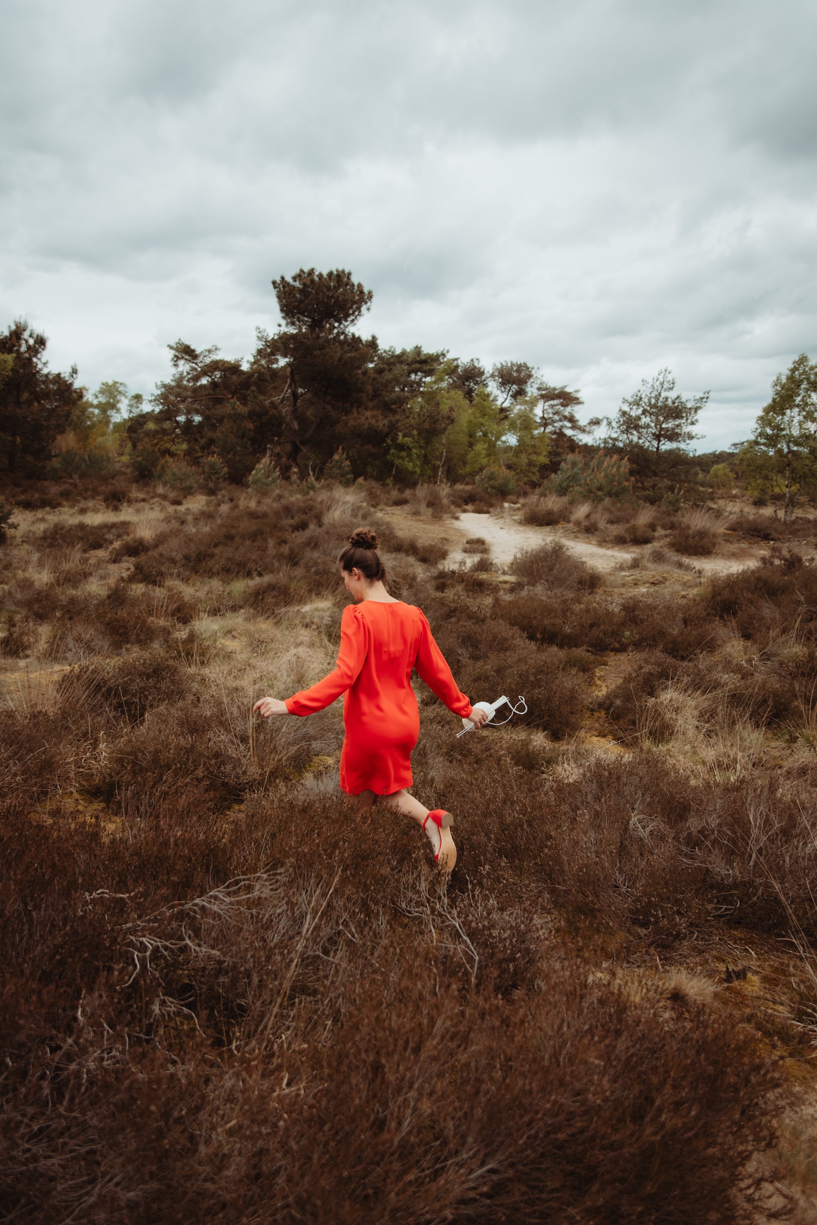 Kalmthoutse heide