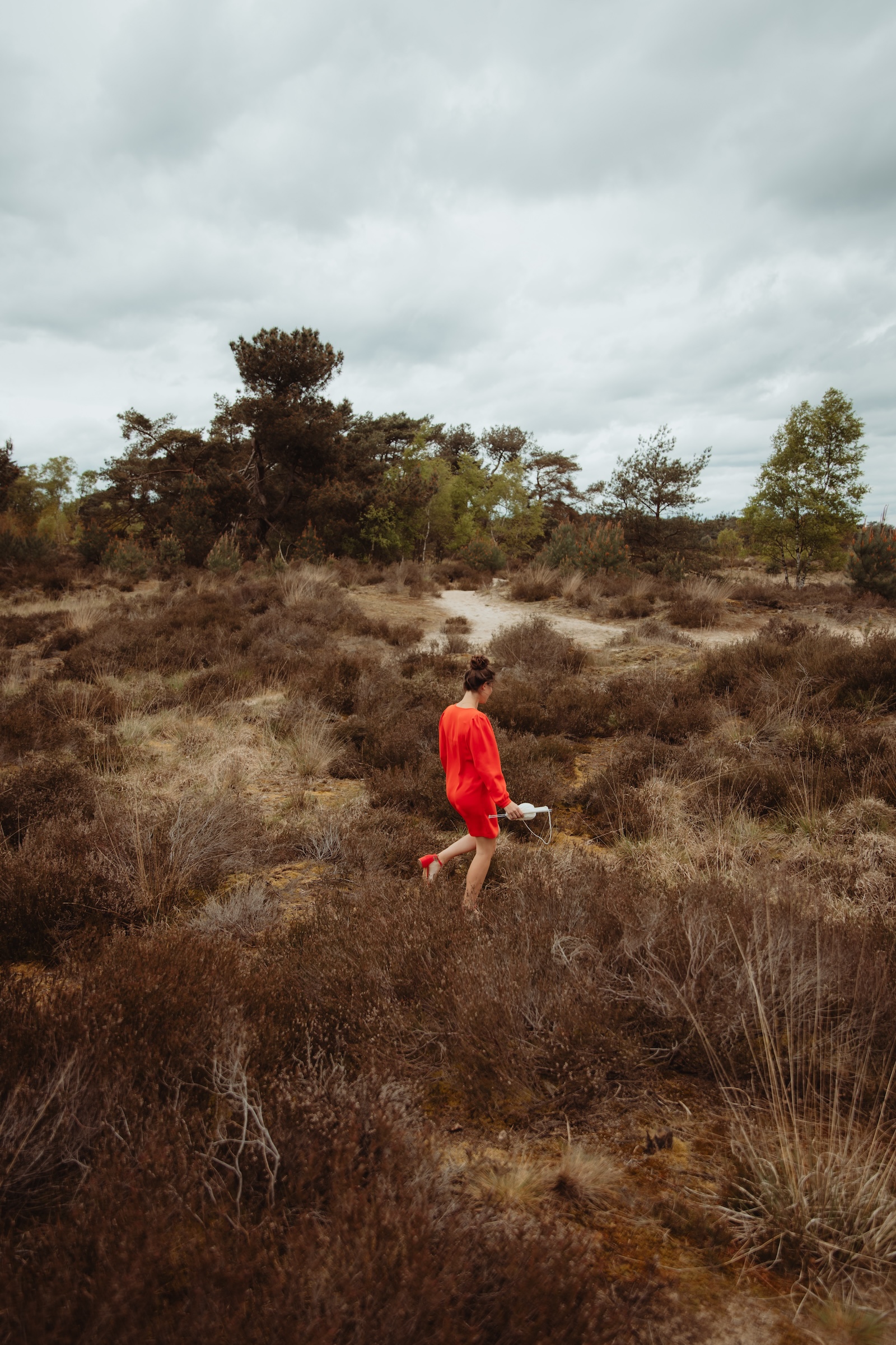 Kalmthoutse heide