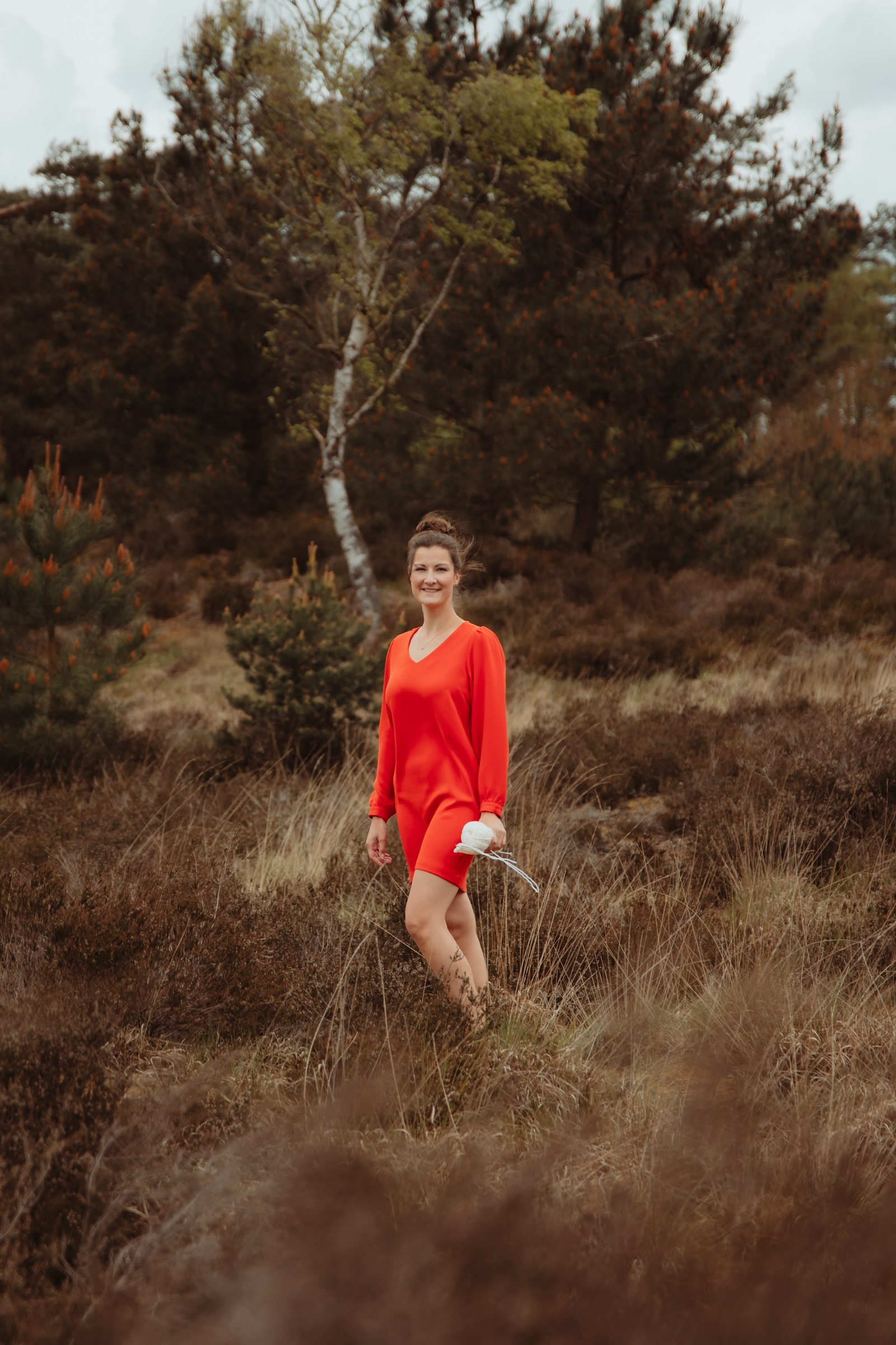 Kalmthoutse heide