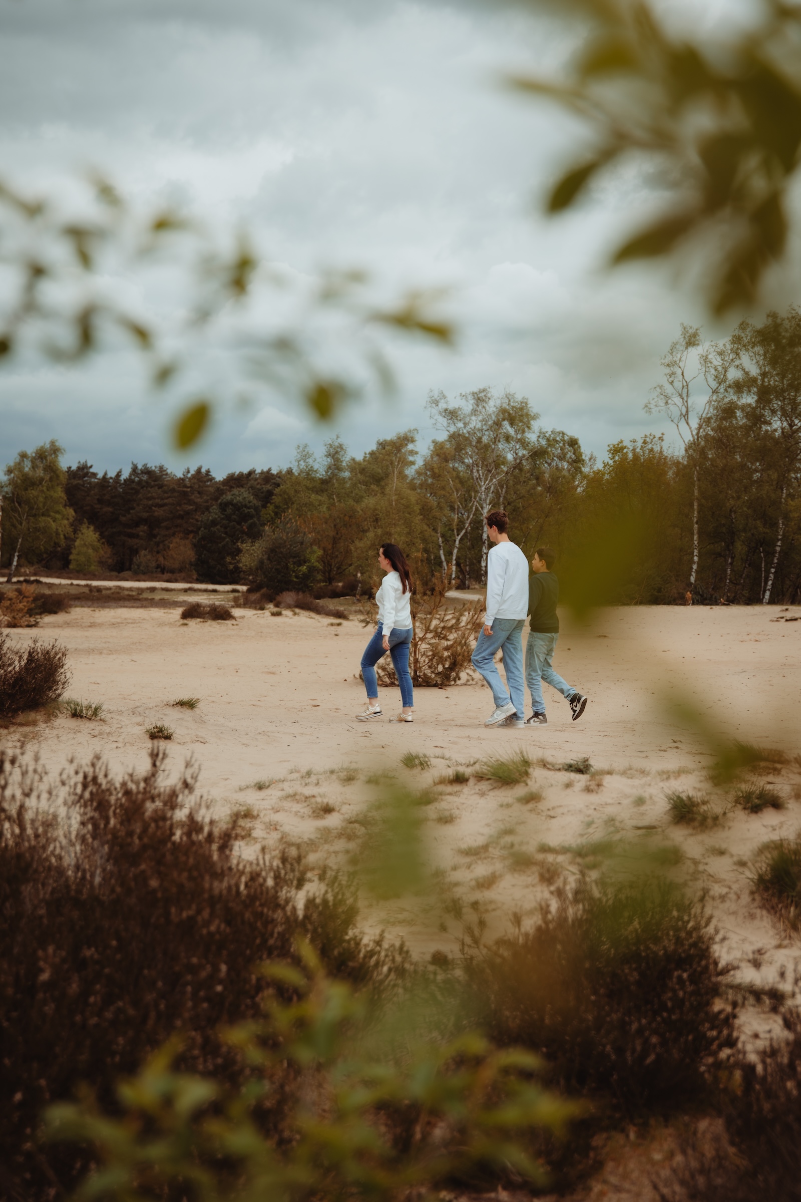 Kalmthoutse heide