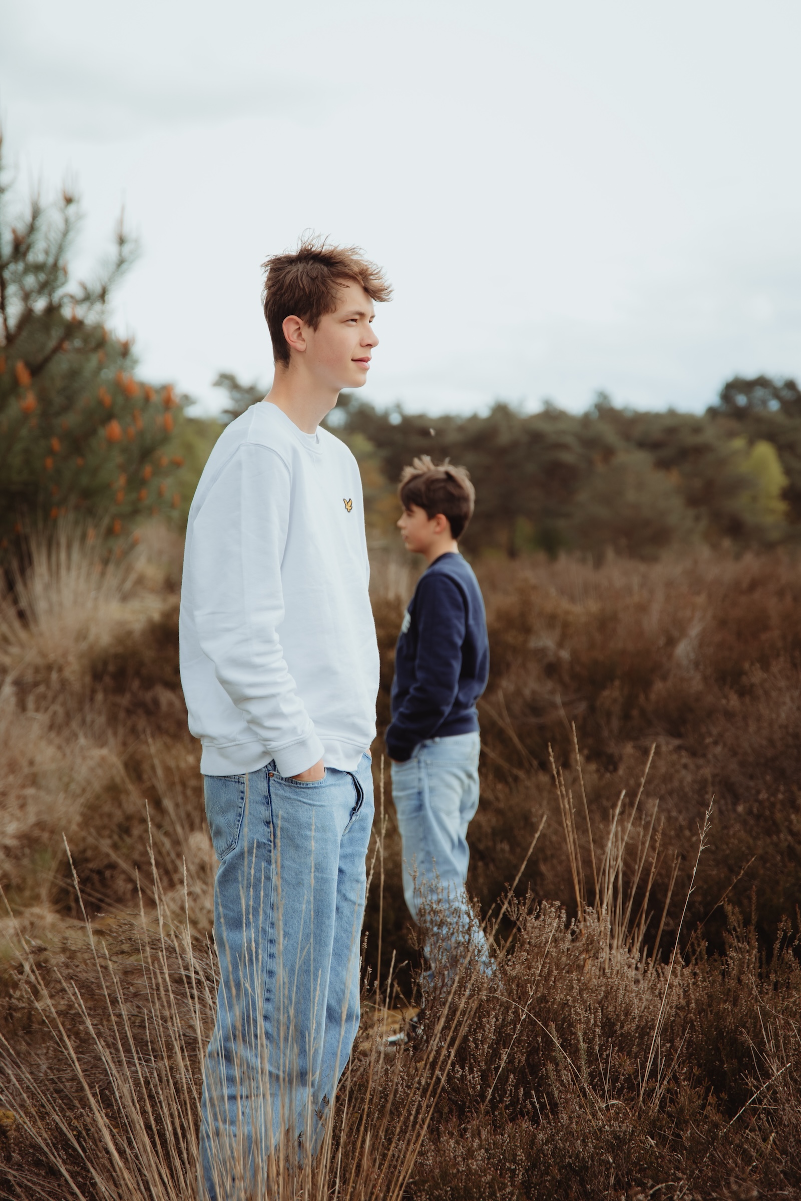 Kalmthoutse heide