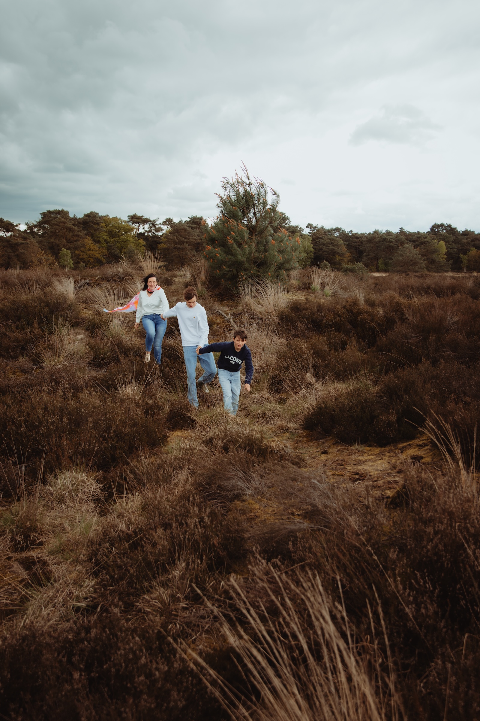 Kalmthoutse heide